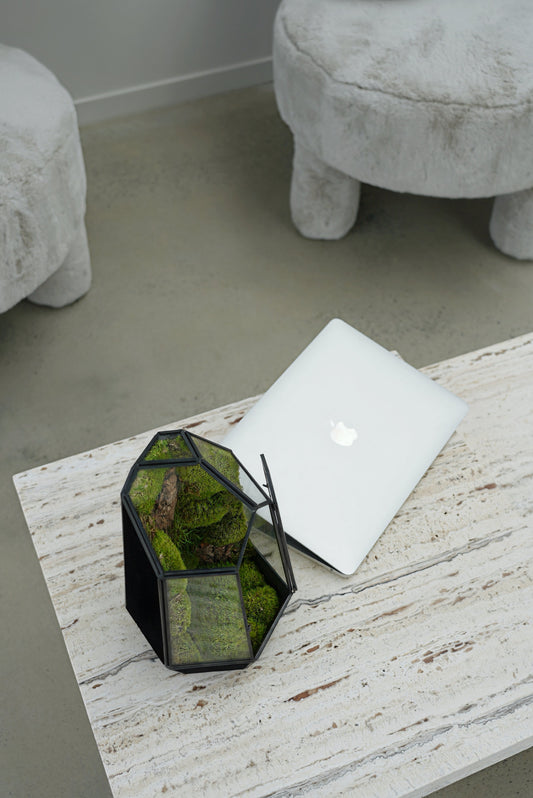 Terrariums: The Perfect Blend of Health Benefits and Home Aesthetics