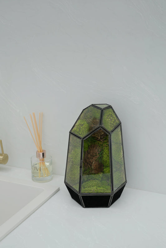 The Ultimate Guide to Terrariums: How to Create and Care for Your Miniature Garden