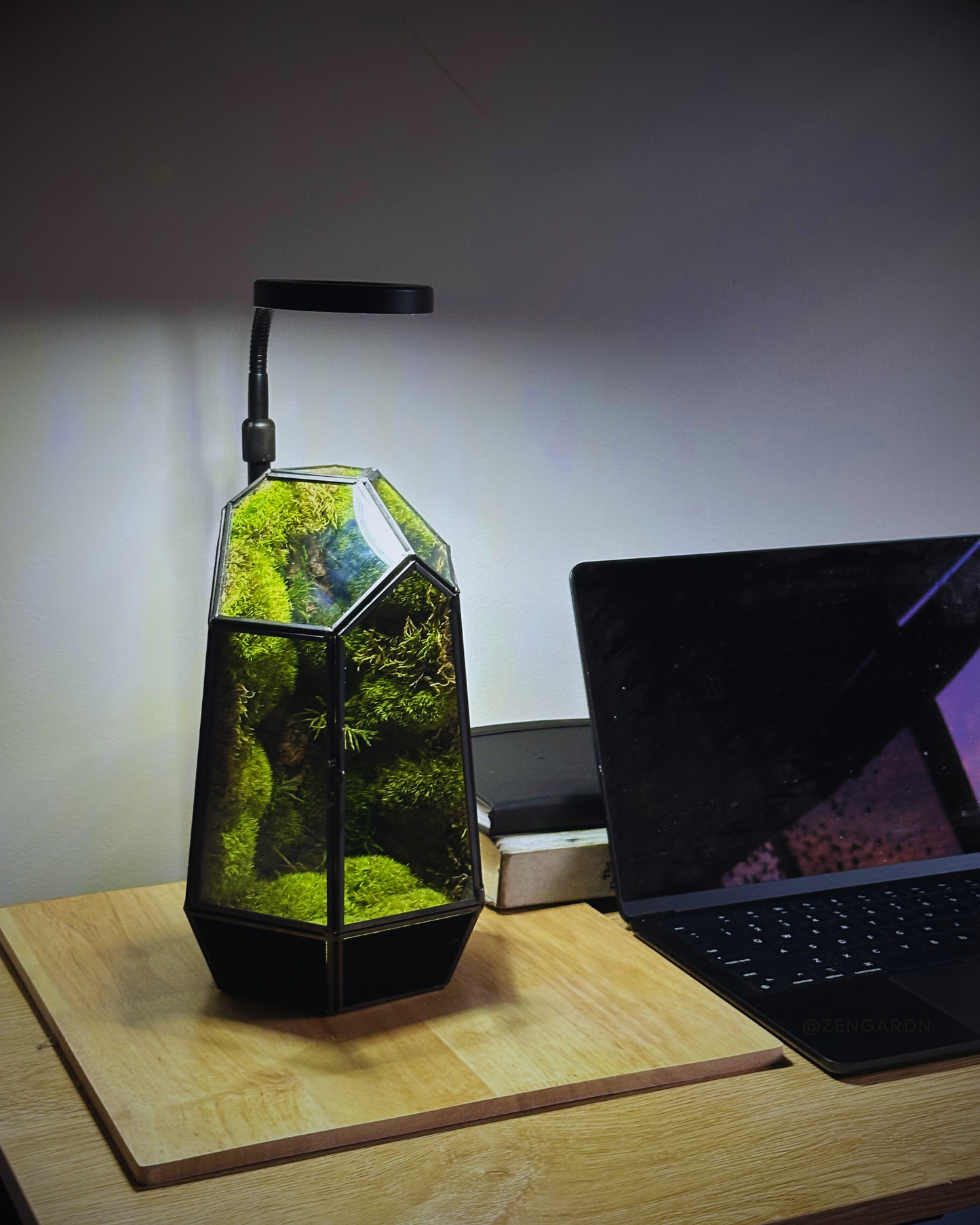 Wooden Display Board With Light