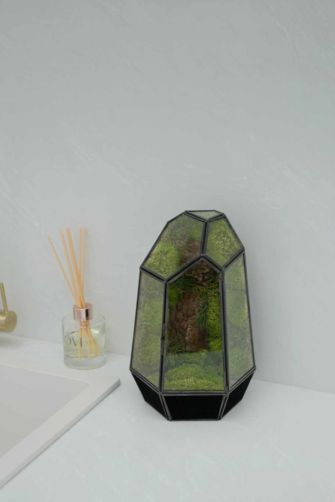 The Ultimate Guide to Terrariums: How to Create and Care for Your Miniature Garden