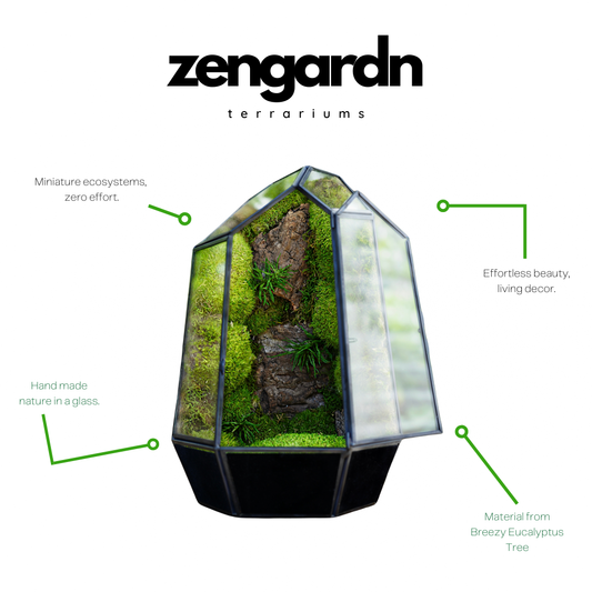 The Complete Terrarium Guide: Everything You Need to Know About These Miniature Ecosystems